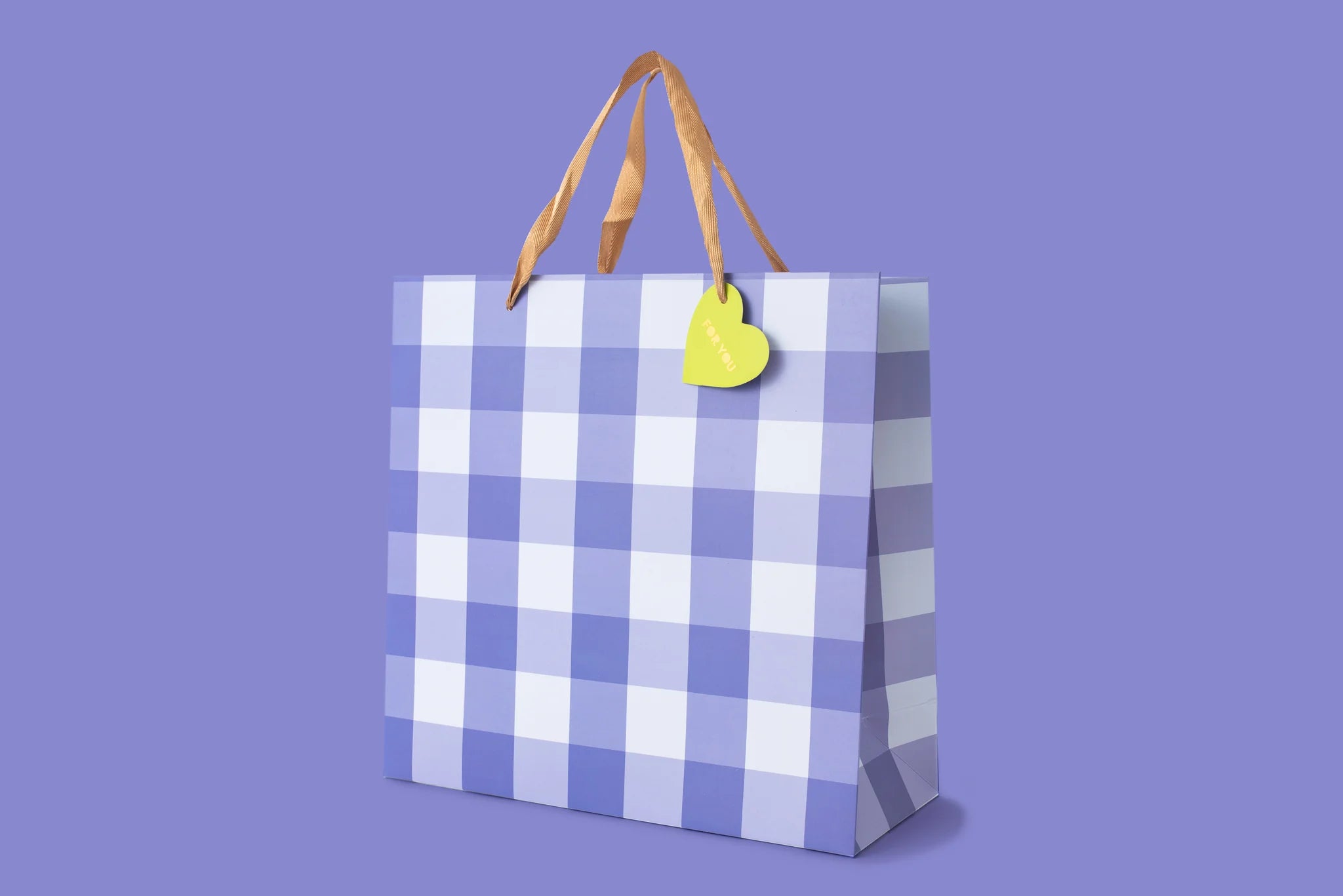 Blue Gingham Gift Bag