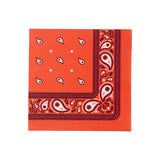 Thomas & Friends Train Large Red Bandana Napkins