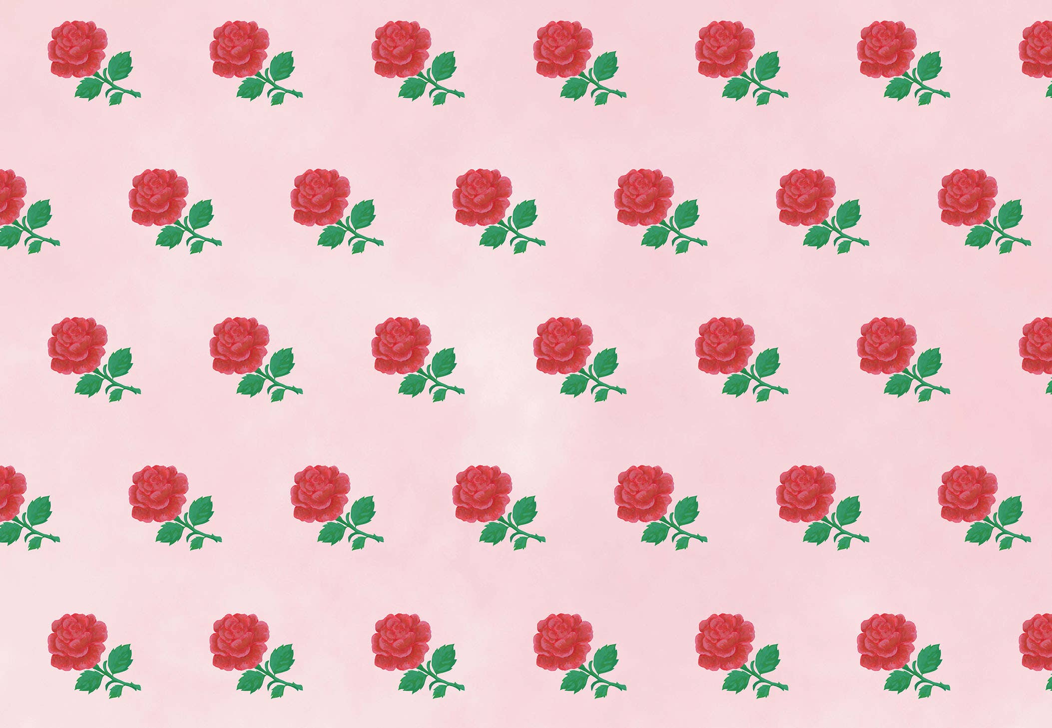 Rose Gift Wrap