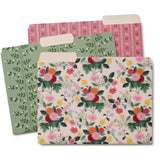 Dahlia File Folder Set