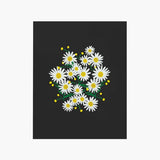 Daisies Charcoal Art Print 8x10