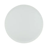 Shades Collection Dinner Plates- Frost