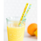 Fruit Basket Reusable Straws