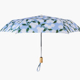 Hydrangea Umbrella