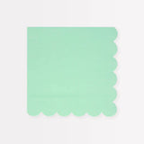 Sea Foam Green Large Napkins